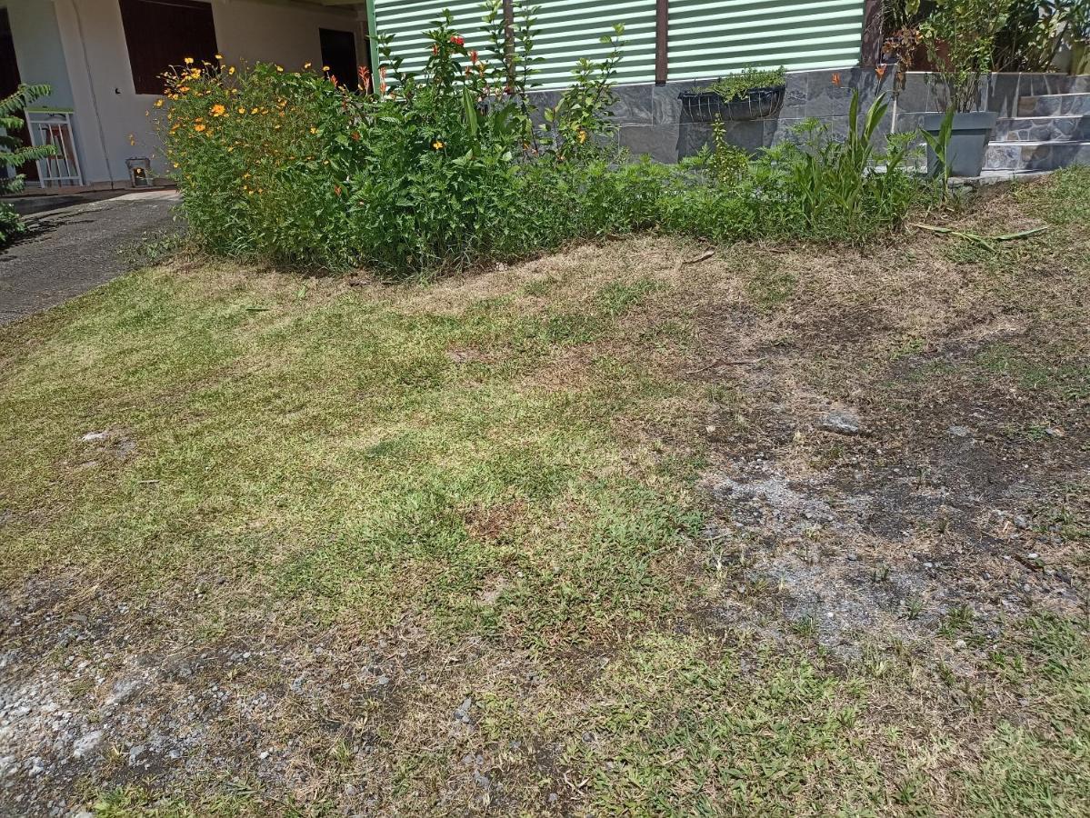 Appartement Milo 1 Bouillante Zewnętrze zdjęcie